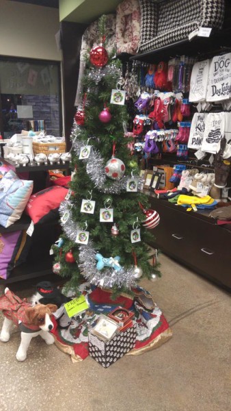 Angel Tree at Dog City