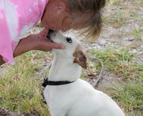 Kiss time with Kennedy