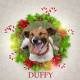 Duffy - Angel Tree
