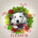 Angel Tree Eleanor