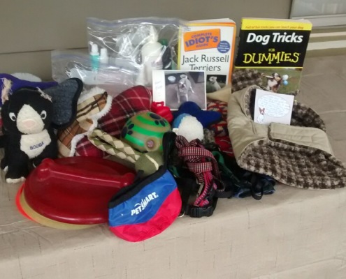 Donations from Enzo