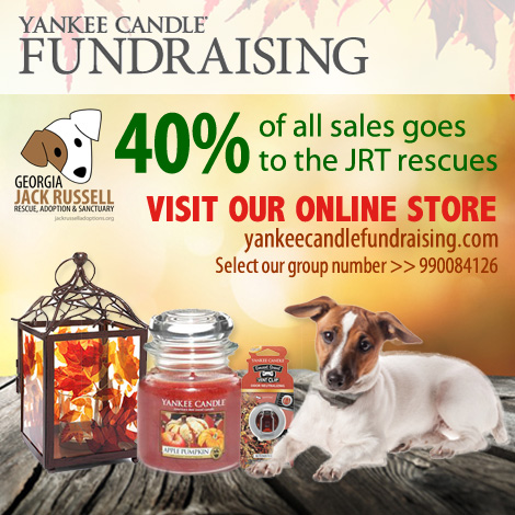 Yankee Candle Fundraiser for Jack Russell rescues