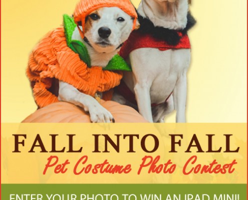 Fall into Fall Pet Costume Photo Contest