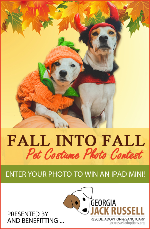 Fall into Fall Pet Costume Photo Contest