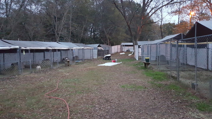 Kennels wrapped for winter