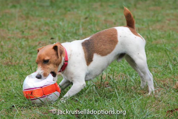 Turner playing soccer