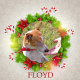 Floyd