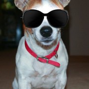 Floyd with fake shades