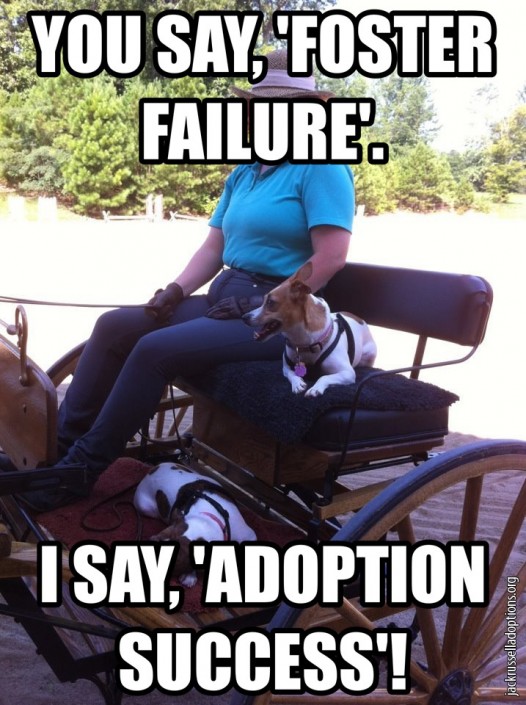 You Say Foster Failure, I Say Adoption Success