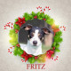 Angel Tree Fritz