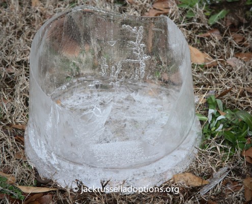 Frozen water buckets