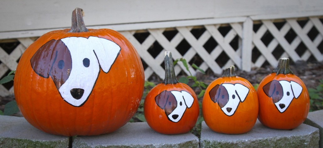 GA Jack Russell Rescue pumpkins