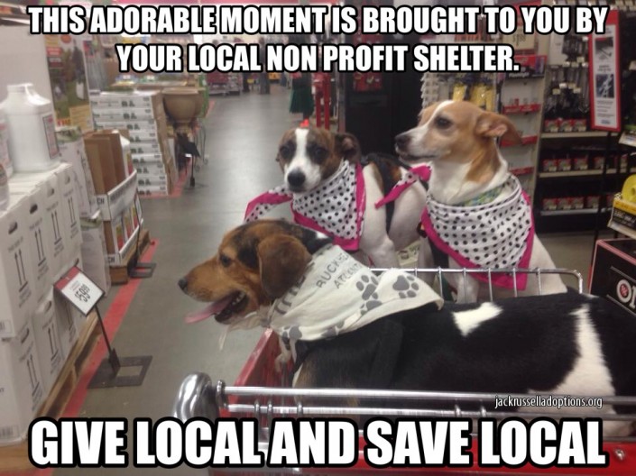 Give Local and Save Local