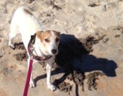 Hannah at the Beach