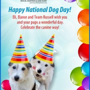 Happy National Dog Day