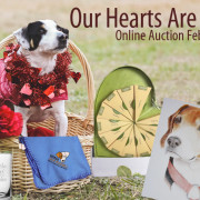 Our Hearts Are In It online auction