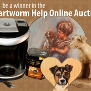 Be a winner in the Heartworm Help Online Auction!