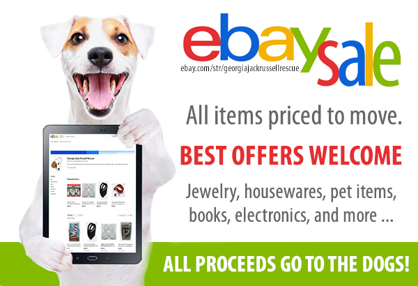 eBay Liquidation Sale
