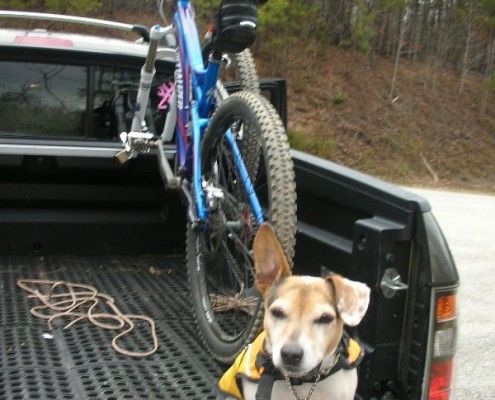 Jackpot mountain biking