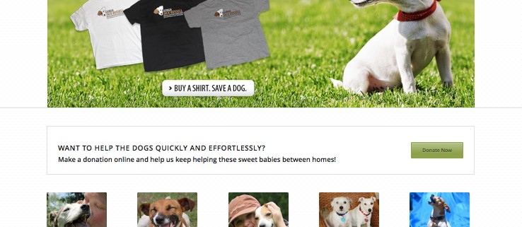 New Jack Russell Website