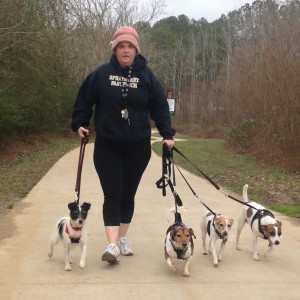 Jennifer Roose walking Penelope, Chuckie, Pumpkin and Susie