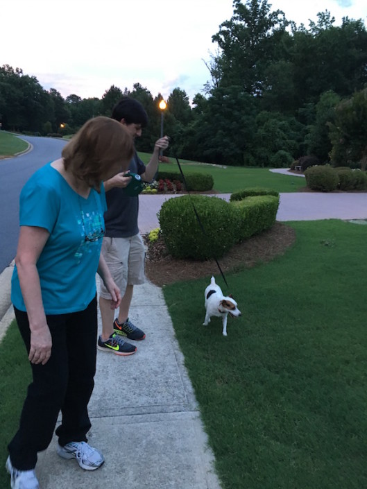 Joe going for a walk