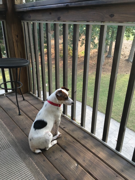 Joe enjoying his porch