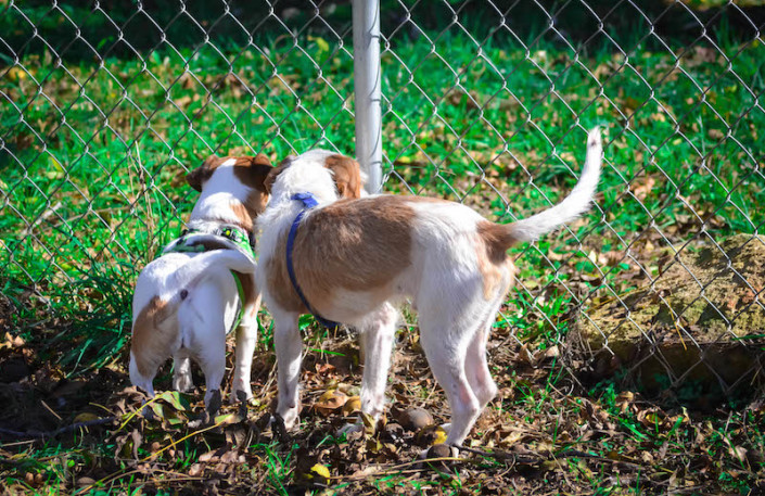 Joey and Zoe