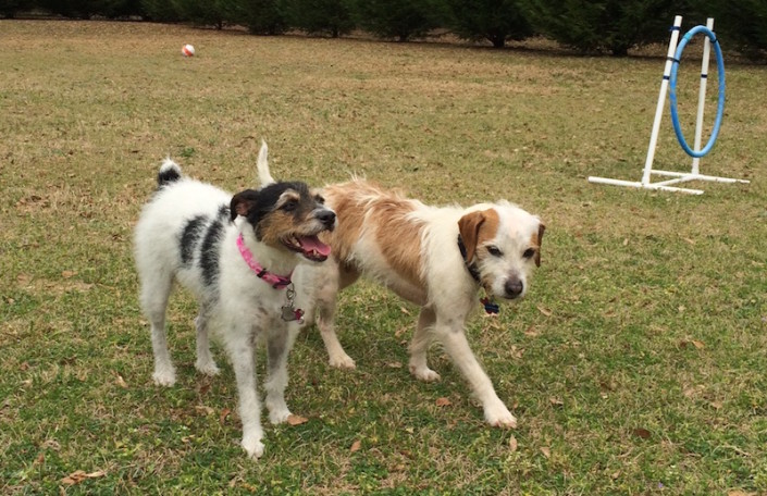 Joey meeting Stella