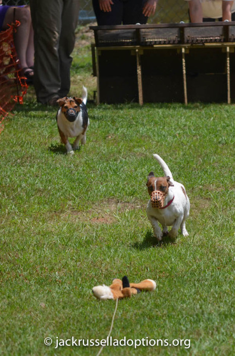 Chuckie and Penny, going for the gold.