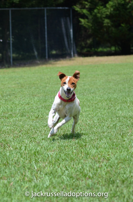 "Did someone say RUN?!" Flash did just what he does best ...