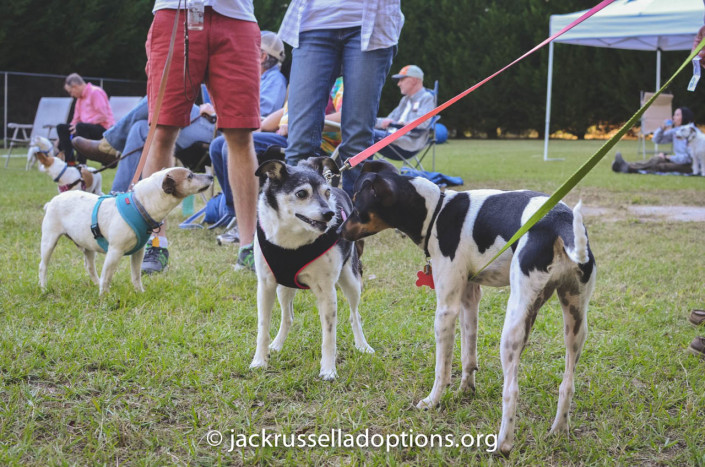 Cobb, Octavia and Boo at the JRT Reunion
