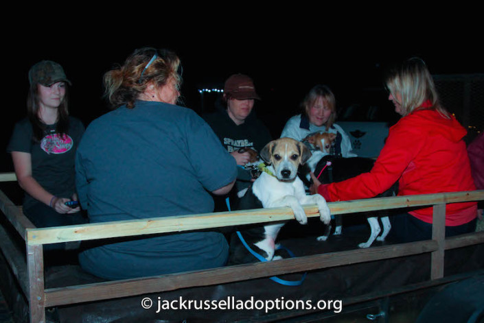 Hay Ride