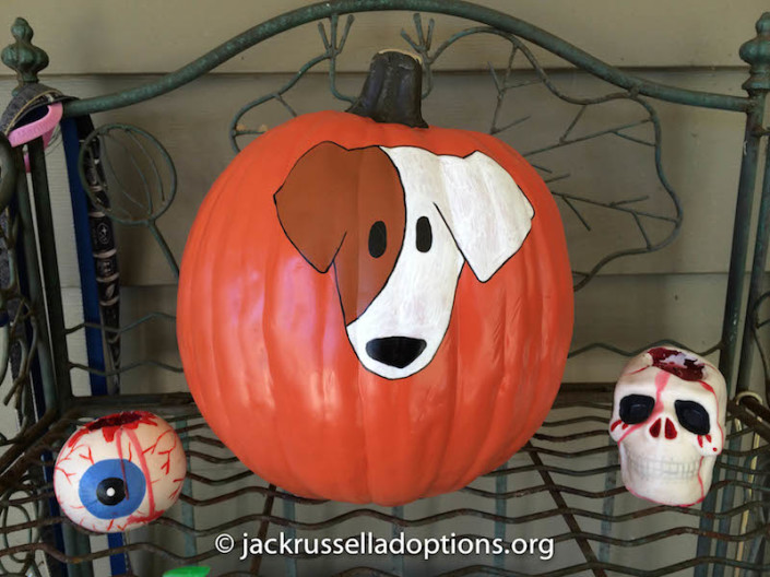 JRT Pumpkins