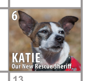 katie-adoptaversary-calendar