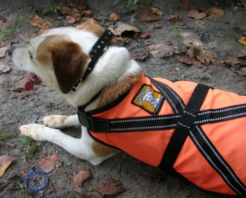 Eddie kayaking