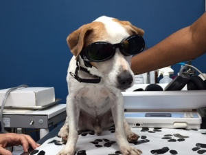 Kennedy at laser treatment