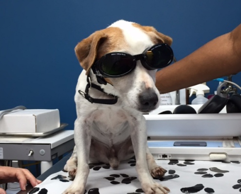 Kennedy at laser treatment