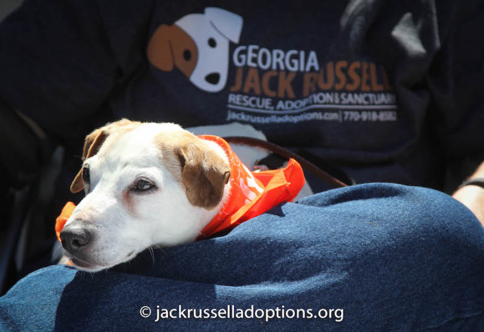 "Whew, it sure is exhausting being a rescue representative." But what a fabulous one you make, Kennedy!