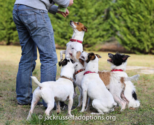 Joey with group