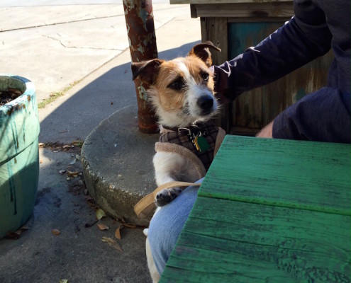 Landon exploring Charleston