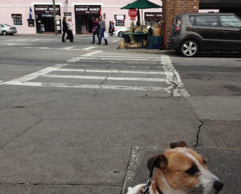 Landon exploring Charleston