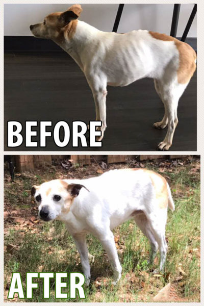 Lucy before and after