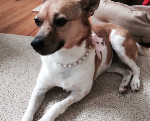 Maggie sporting pearls