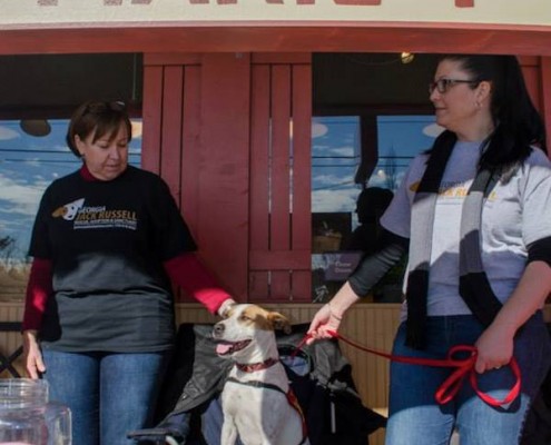 Smooch a Pooch at City Dog Market