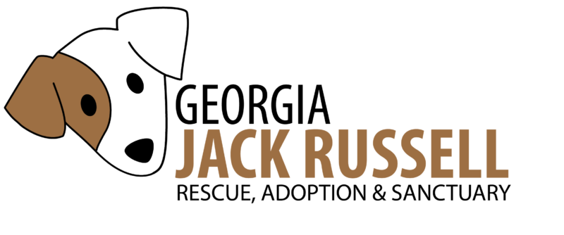 Georgia Jack Russell Rescue