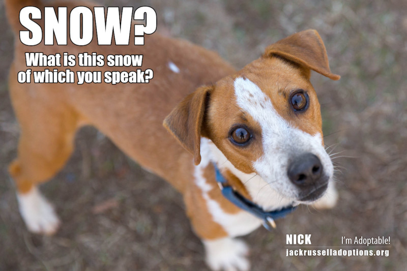 Nick's Snow Meme