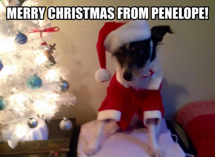 Merry Christmas from Penelope