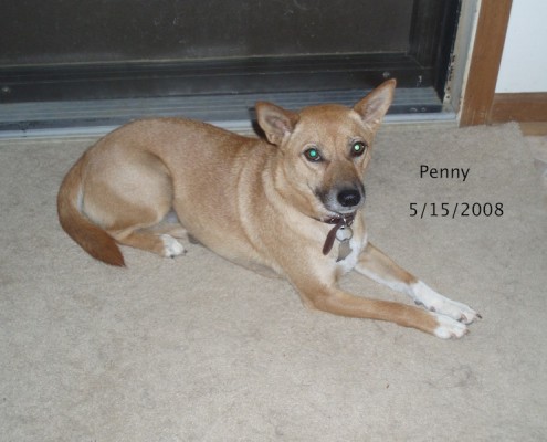 Penny