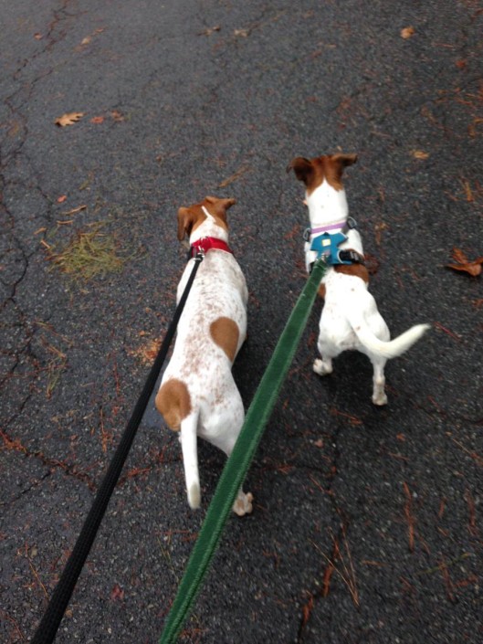 Penny and Mark walking